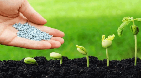 Các thành phần chính của phân bón đa trung vi lượng