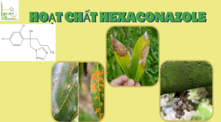 Hoạt Chất Hexaconazole - vũ khí phòng trừ nấm hiệu quả trên cây trồng
