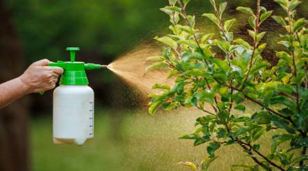 Phân Biệt Các Dạng Thuốc Trừ Sâu Phổ Biến