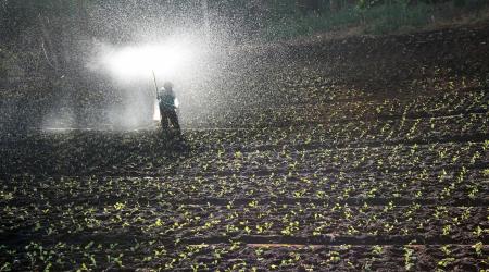 Phân bón giải phóng chậm: Từ tăng năng suất đến bảo vệ hệ sinh thái