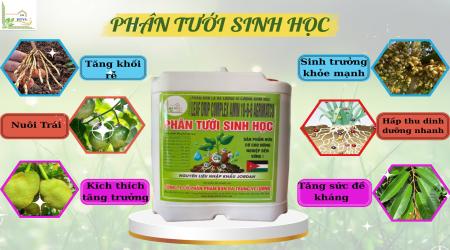PHÂN TƯỚI SINH HỌC LEAF DRIP COMPLEX AMIN 10-6-6 – AGRIMATCO
